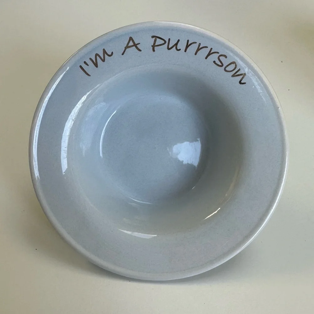 ceramic cat bowl
